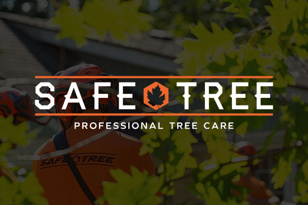Safe Tree